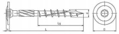 CT 06200 Wkręt ciesielski z główką talerzową 6x200mm