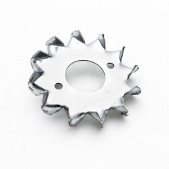 PZD 3  75*26 prstenec zubatý dvoustranný