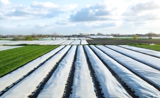 Zakrývací plachta stříbrná 4x6m 130g/m2