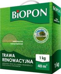 Trawa renowacyjna 1kg /PL130/64/15329/04N1A/  04/2021
