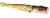 ZZB 200 Zawias bramkowy z zamknięciem pasowy 200x95x35mm