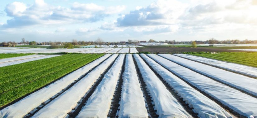 Zakrývací plachta stříbrná 3x4m 130 g