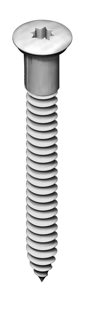 VTK Vrut pro tesařské kování 5,0x40 - 50ks