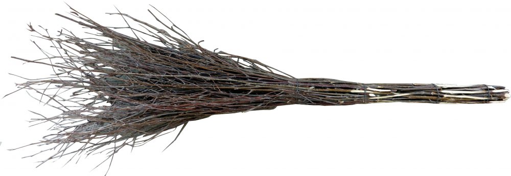 PLX Břízové koště